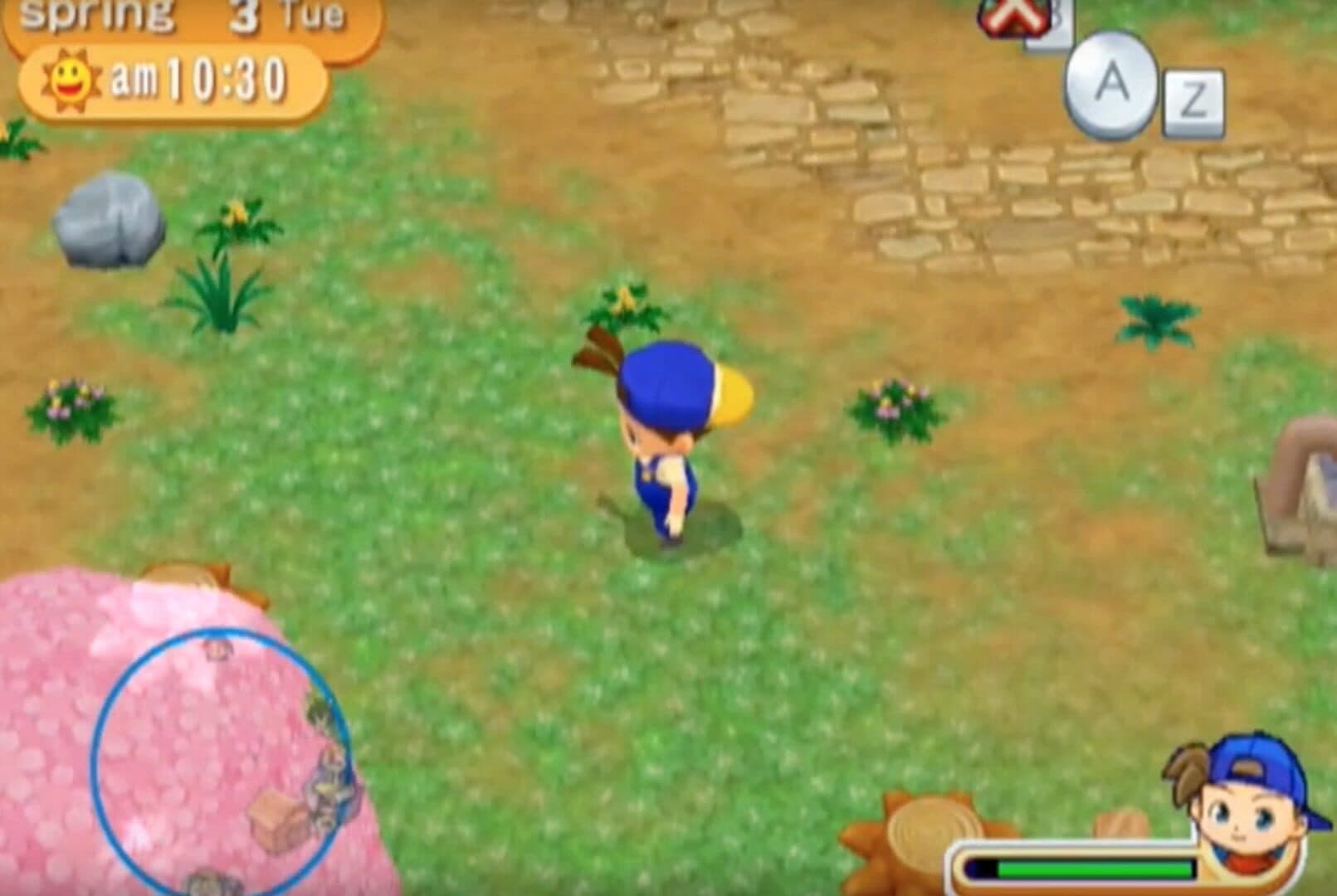 Harvest Moon: Magical Melody screenshot 2