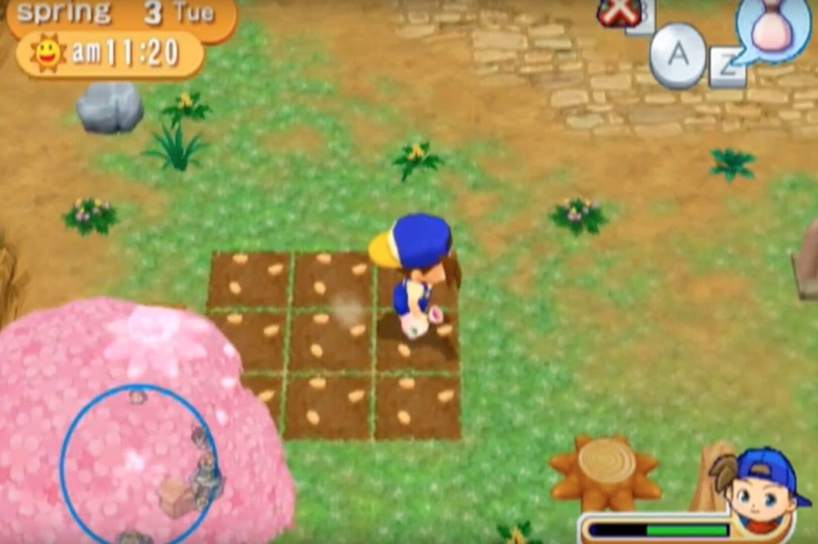 Harvest Moon: Magical Melody screenshot 4