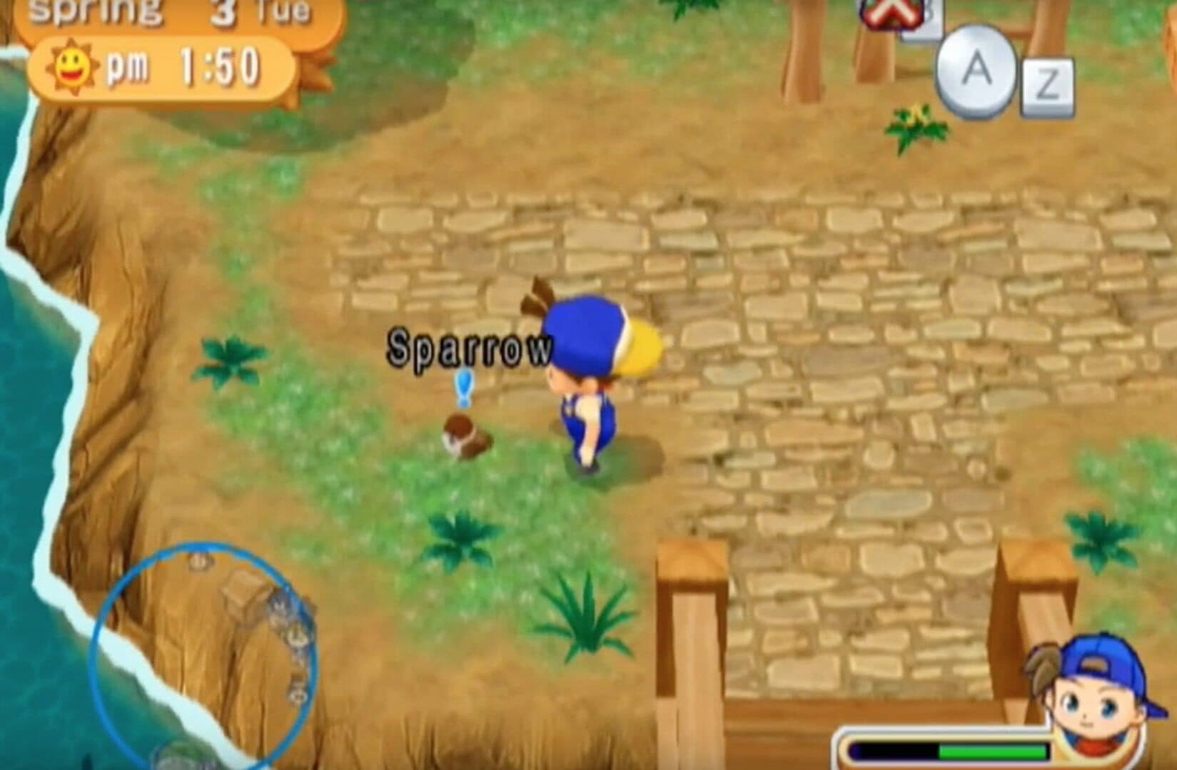 Harvest Moon: Magical Melody screenshot 6