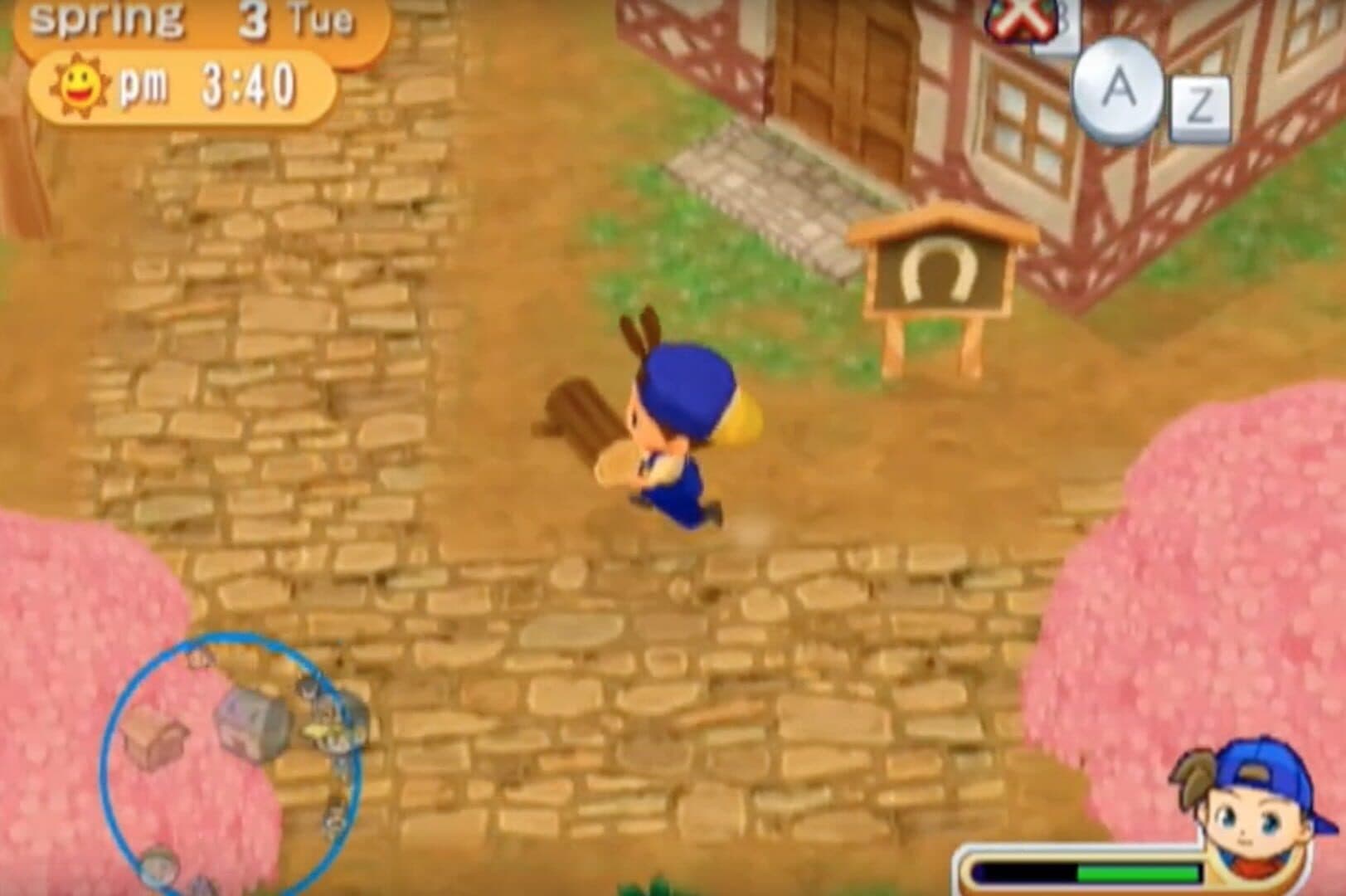 Harvest Moon: Magical Melody screenshot 7