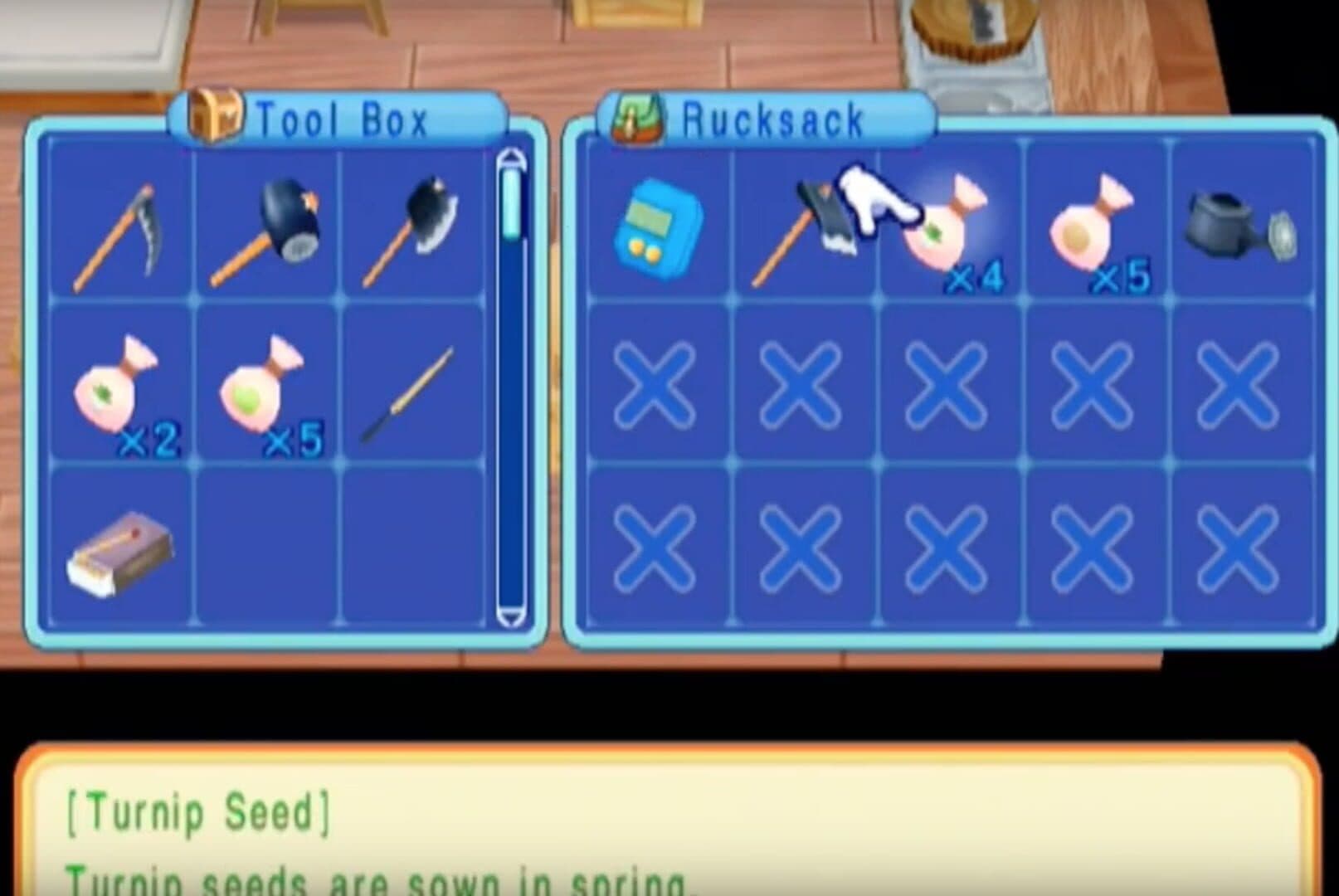 Harvest Moon: Magical Melody screenshot 8