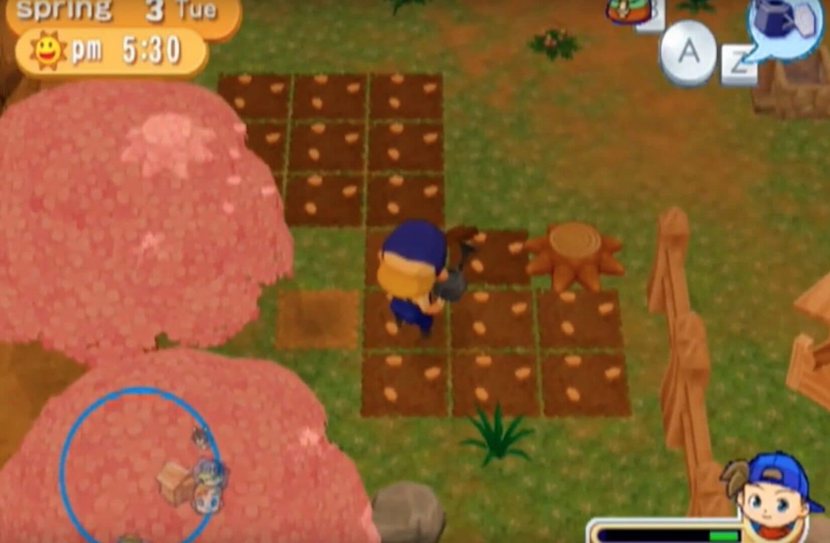 Harvest Moon: Magical Melody screenshot 9