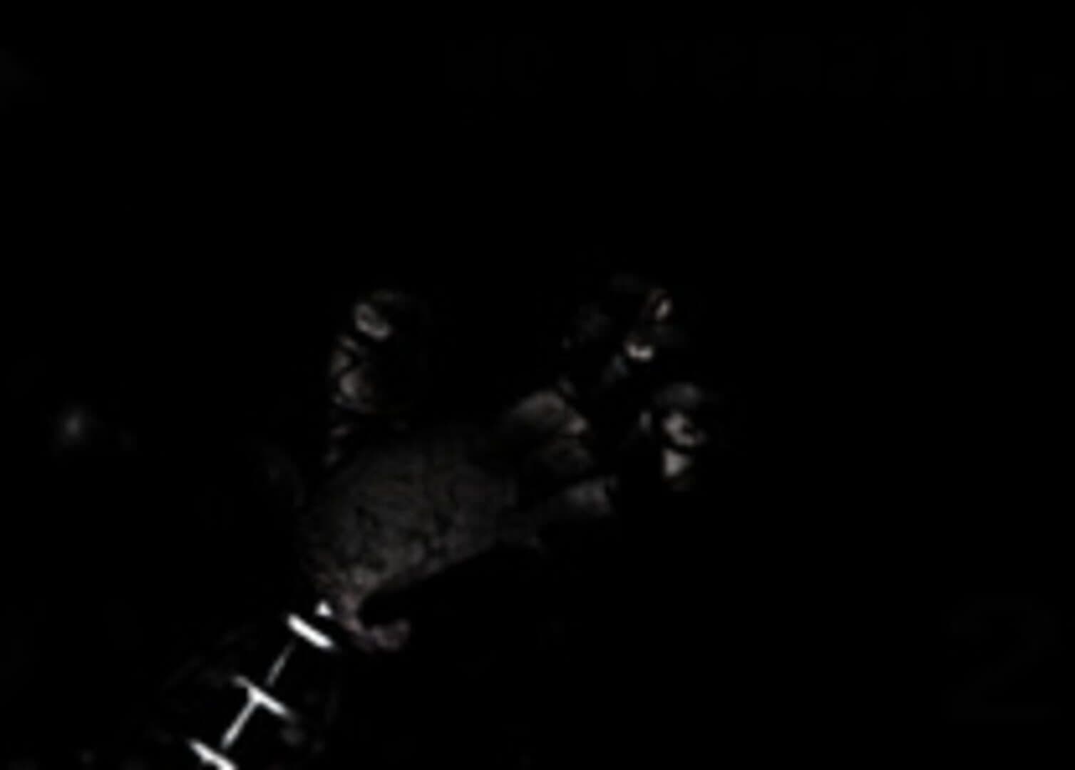 Five Nights at Fredbear's screenshot 5