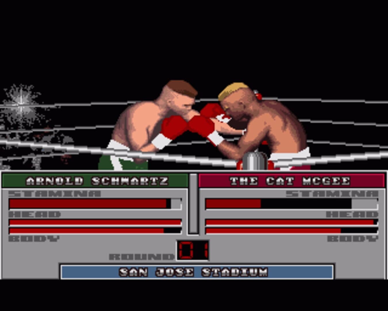 ABC Wide World of Sports Boxing screenshot 4