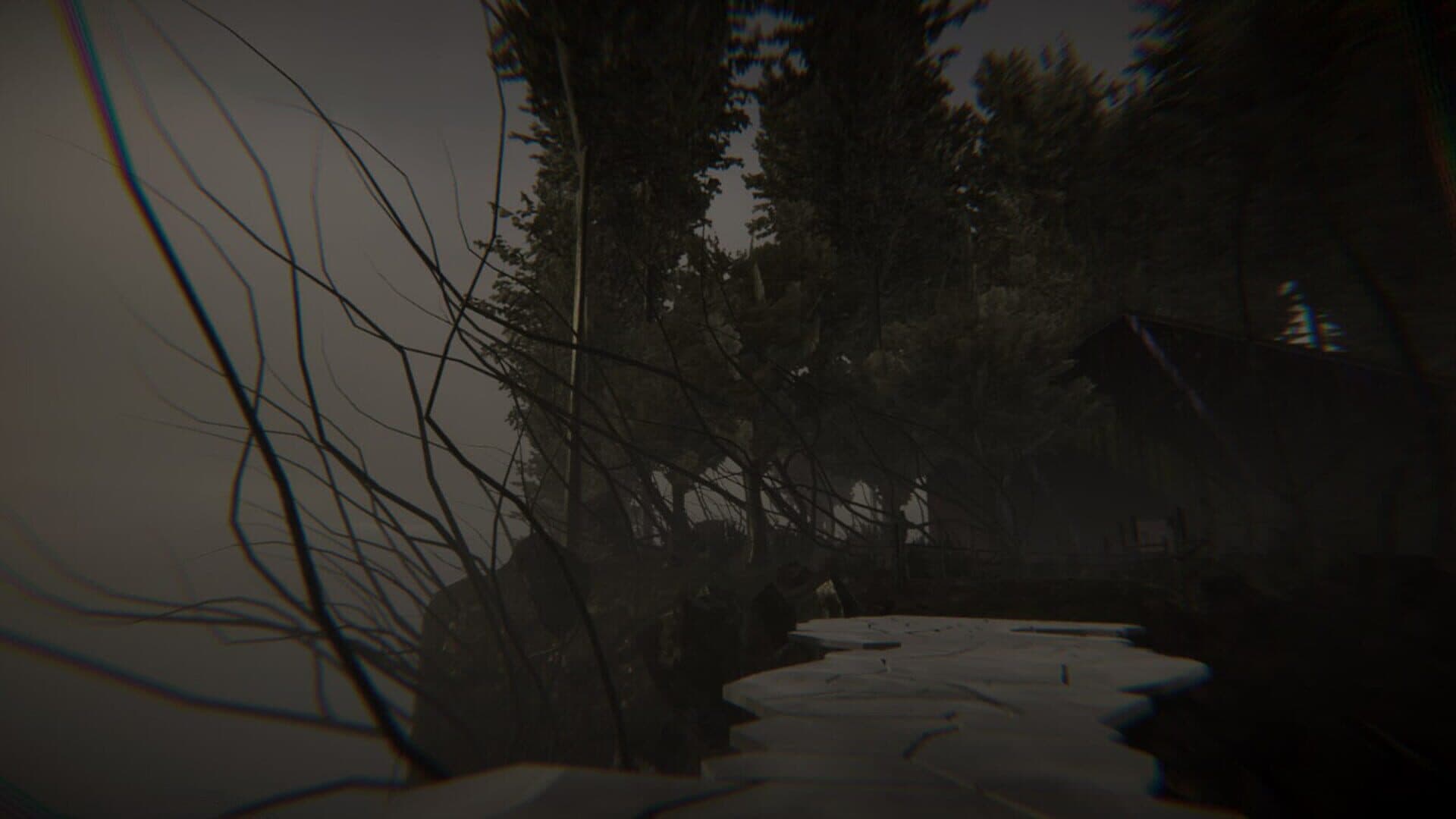 Dye The Bunny 2 screenshot 7