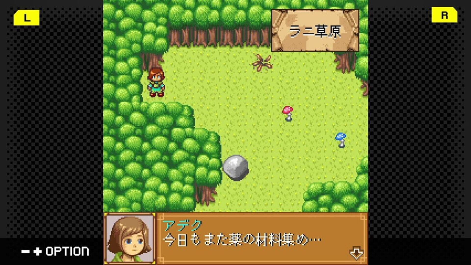G-Mode Archives 48: Dragon x Dragon 2 screenshot 5