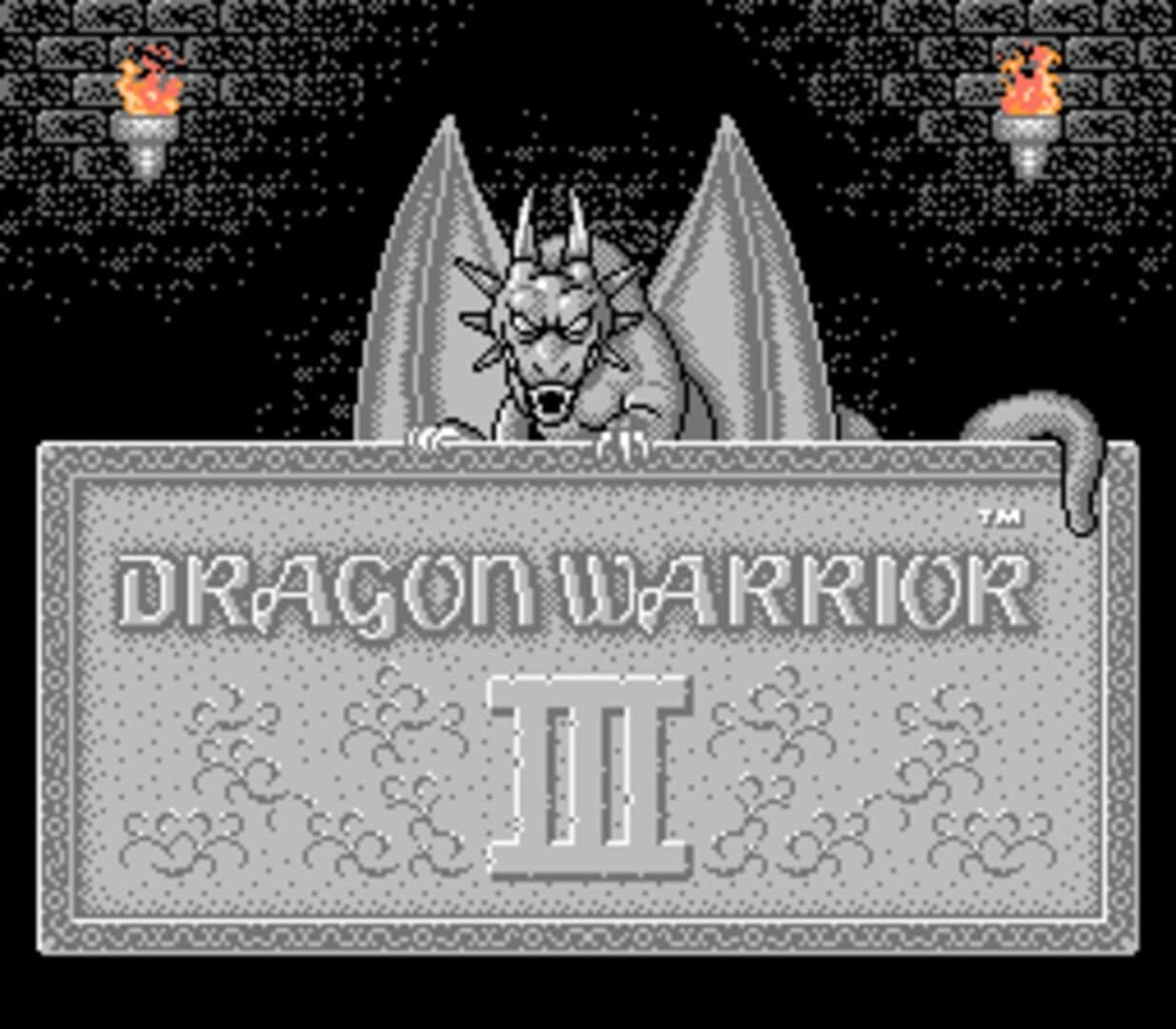 Dragon Warrior III screenshot 6
