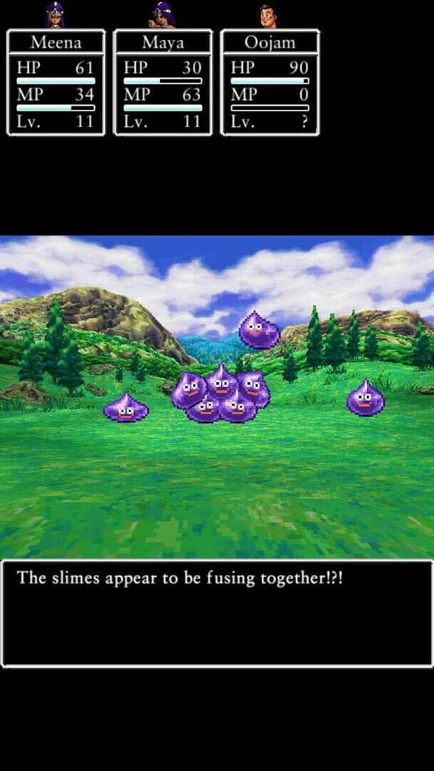 Dragon Quest IV: Chapters of the Chosen screenshot 2