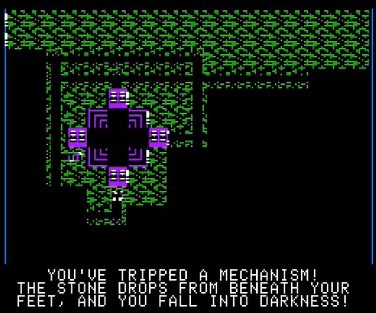 Expedition Amazon screenshot 4