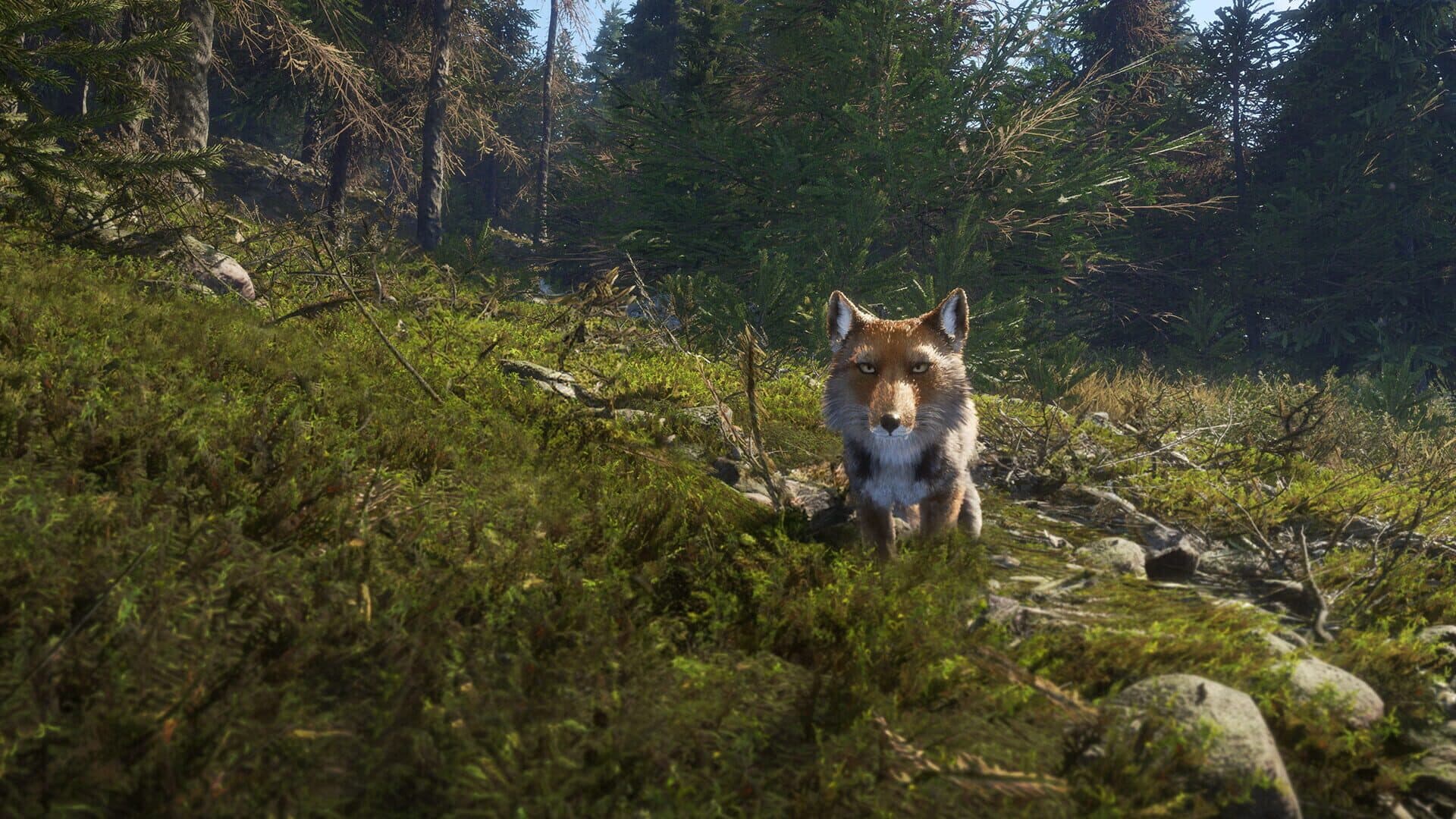 TheHunter: Call of the Wild - Sundarpatan Nepal Hunting Reserve screenshot 5