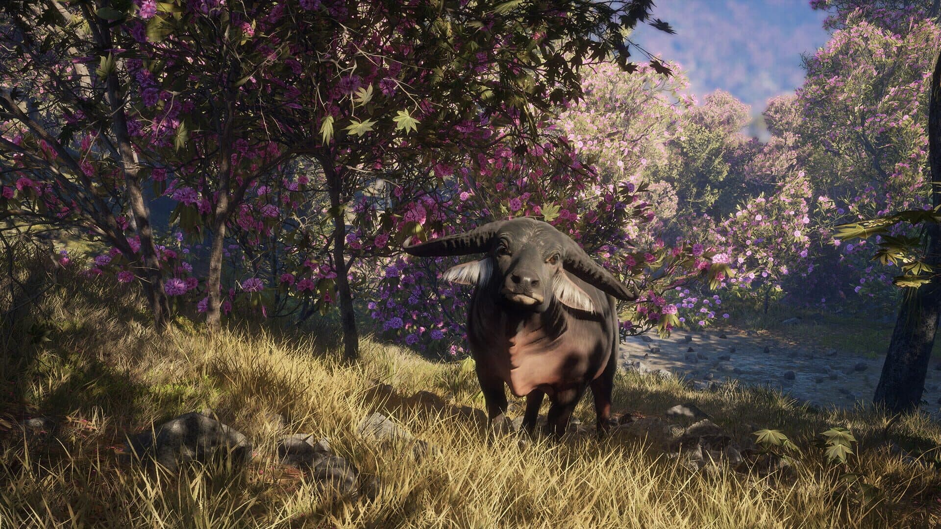 TheHunter: Call of the Wild - Sundarpatan Nepal Hunting Reserve screenshot 12