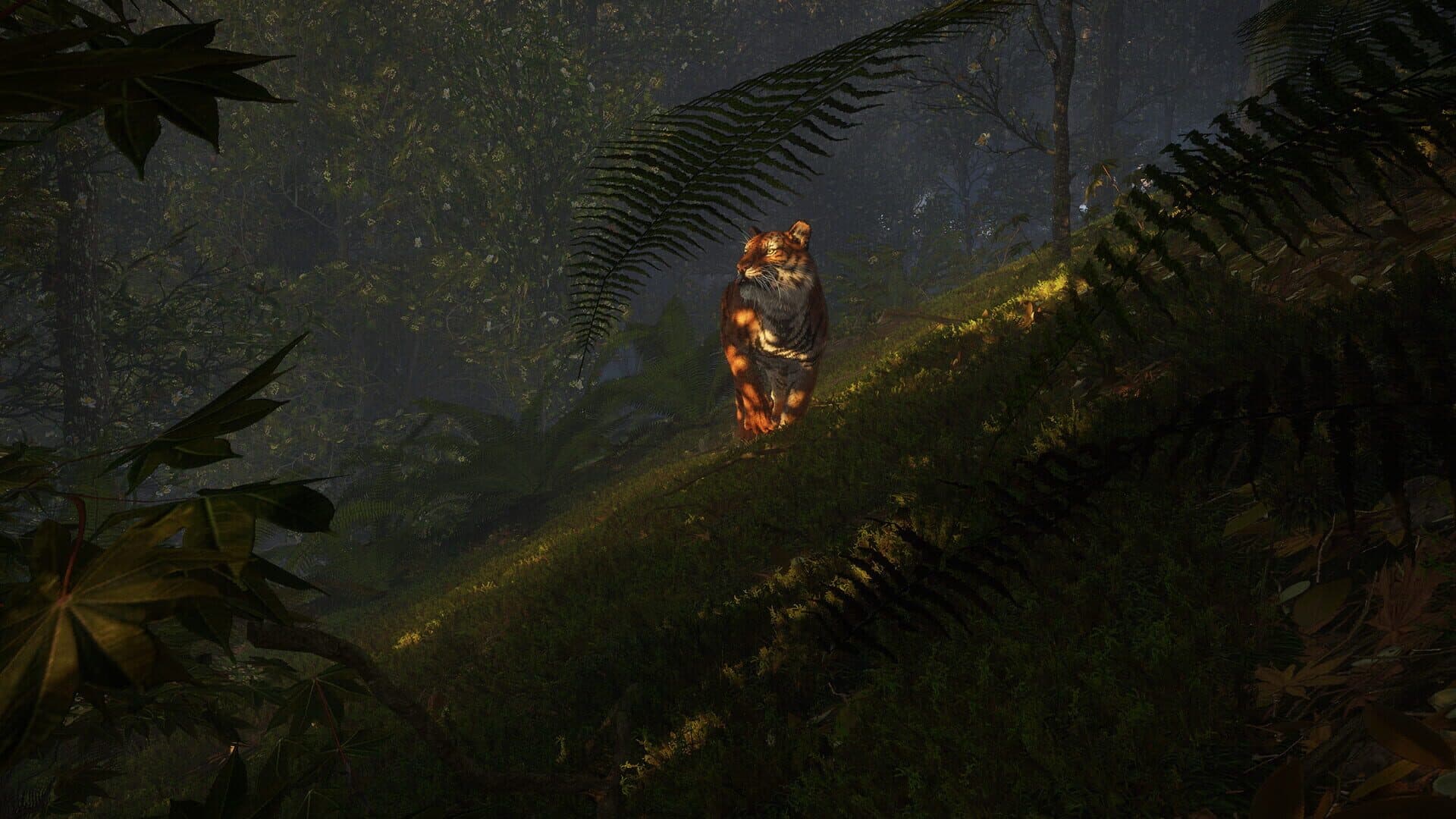 TheHunter: Call of the Wild - Sundarpatan Nepal Hunting Reserve screenshot 18