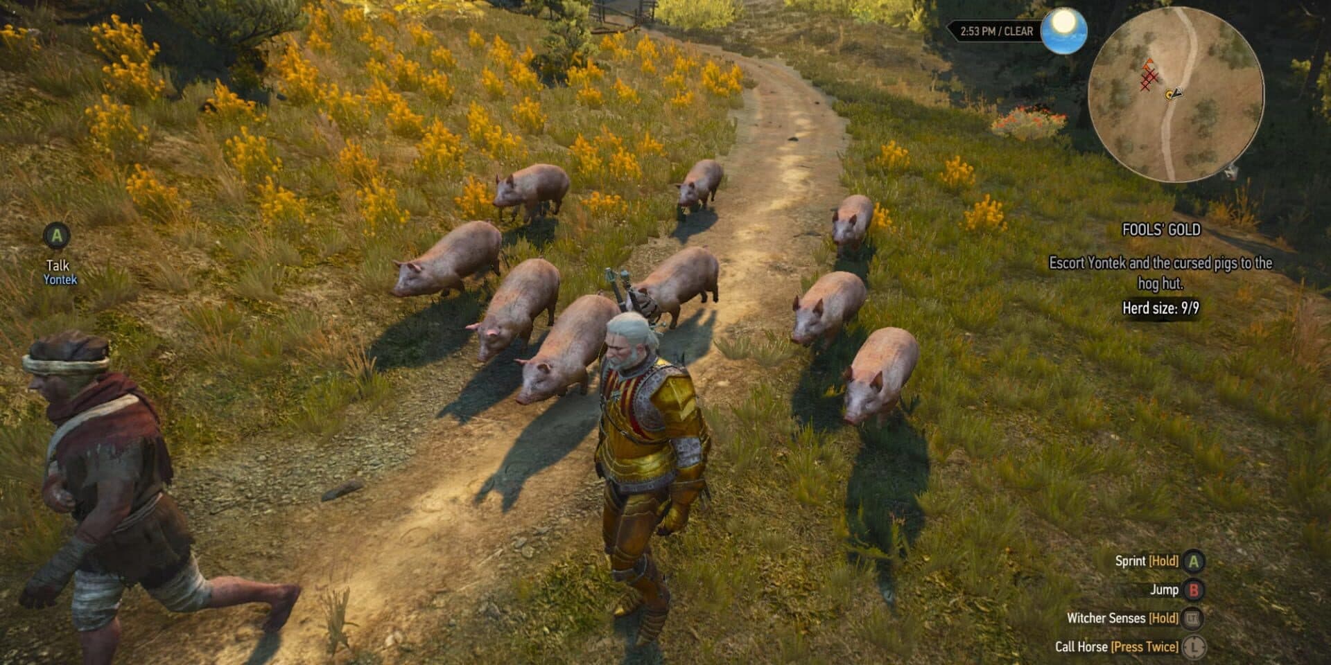 The Witcher 3: Wild Hunt - New Quest 'Fool's Gold' screenshot 2