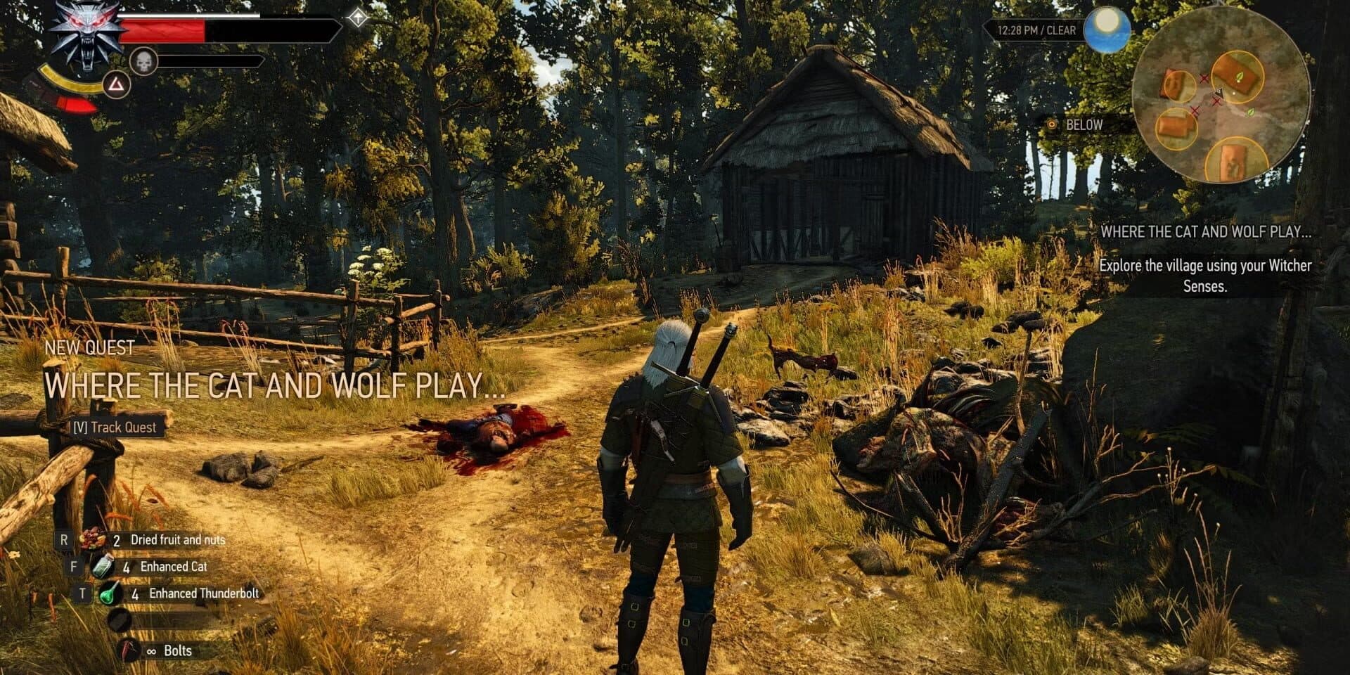 The Witcher 3: Wild Hunt - New Quest 'Where the Cat and Wolf Play...' screenshot 2