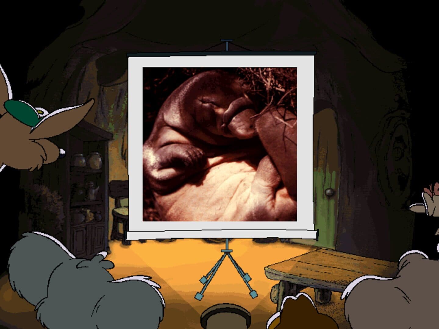 Blinky Bill's Ghost Cave screenshot 7