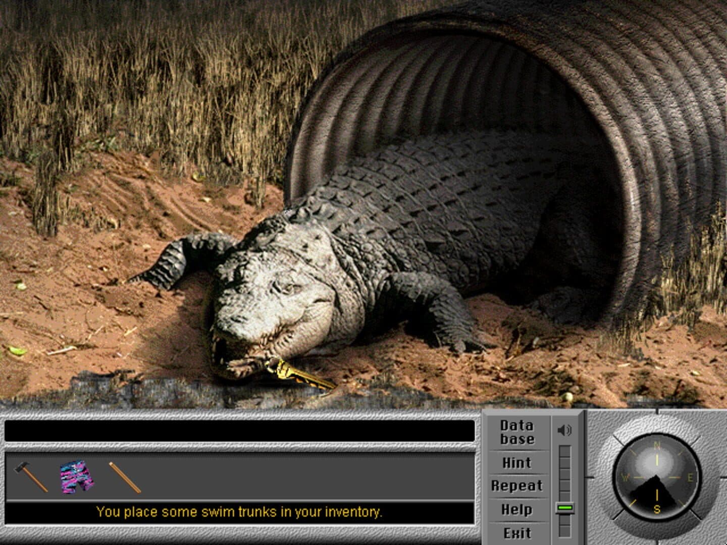 Team Xtreme: Operation Weather Disaster screenshot 8