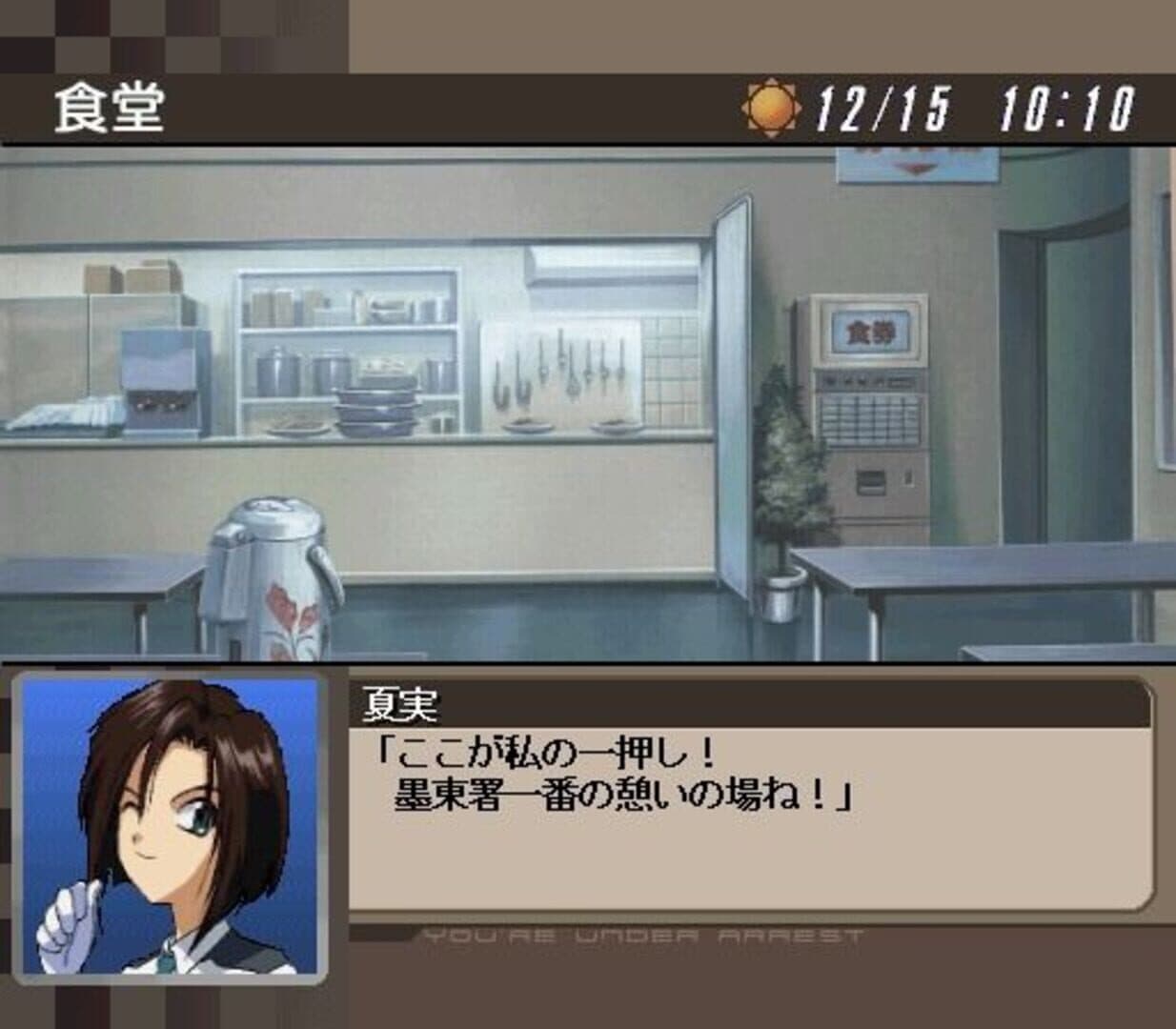 You're Under Arrest screenshot 13