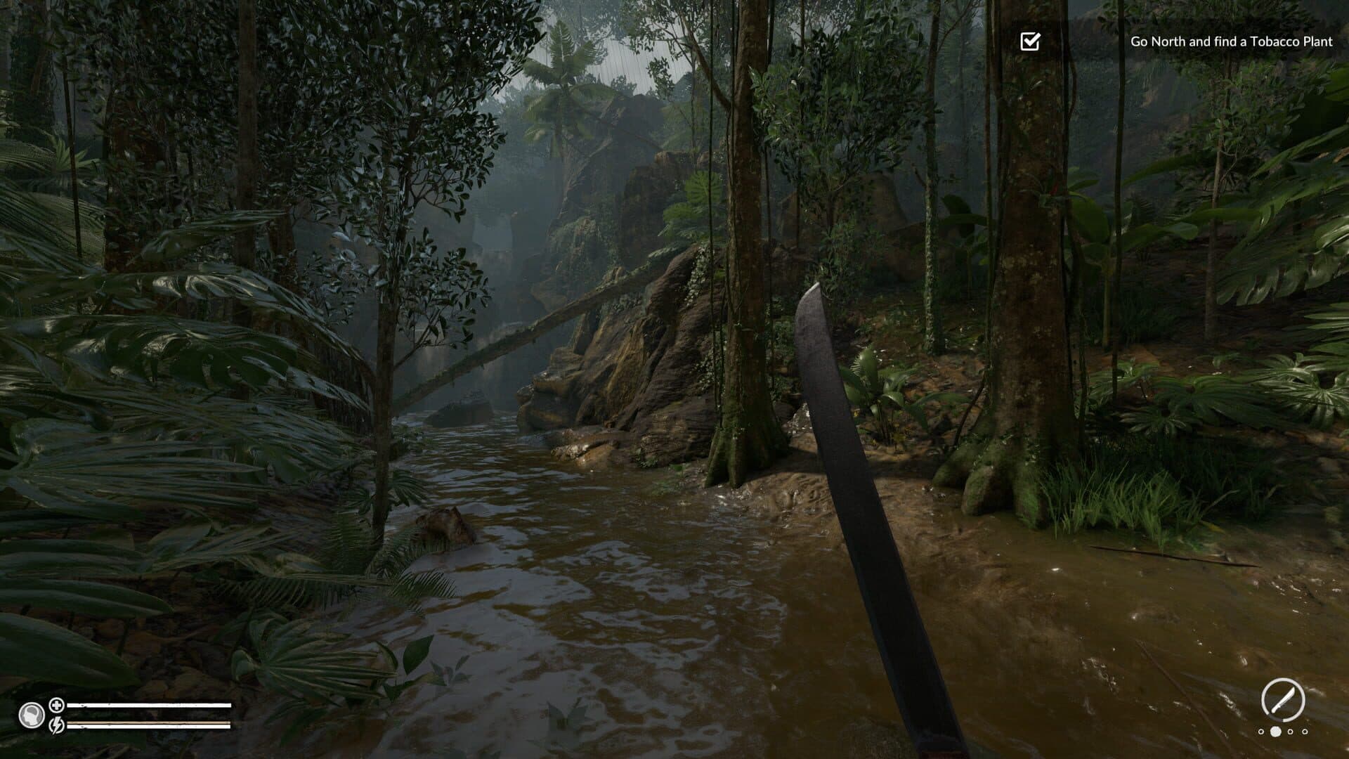 Green Hell screenshot 9