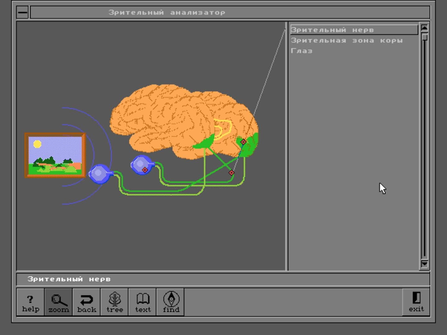 Body Quest screenshot 5