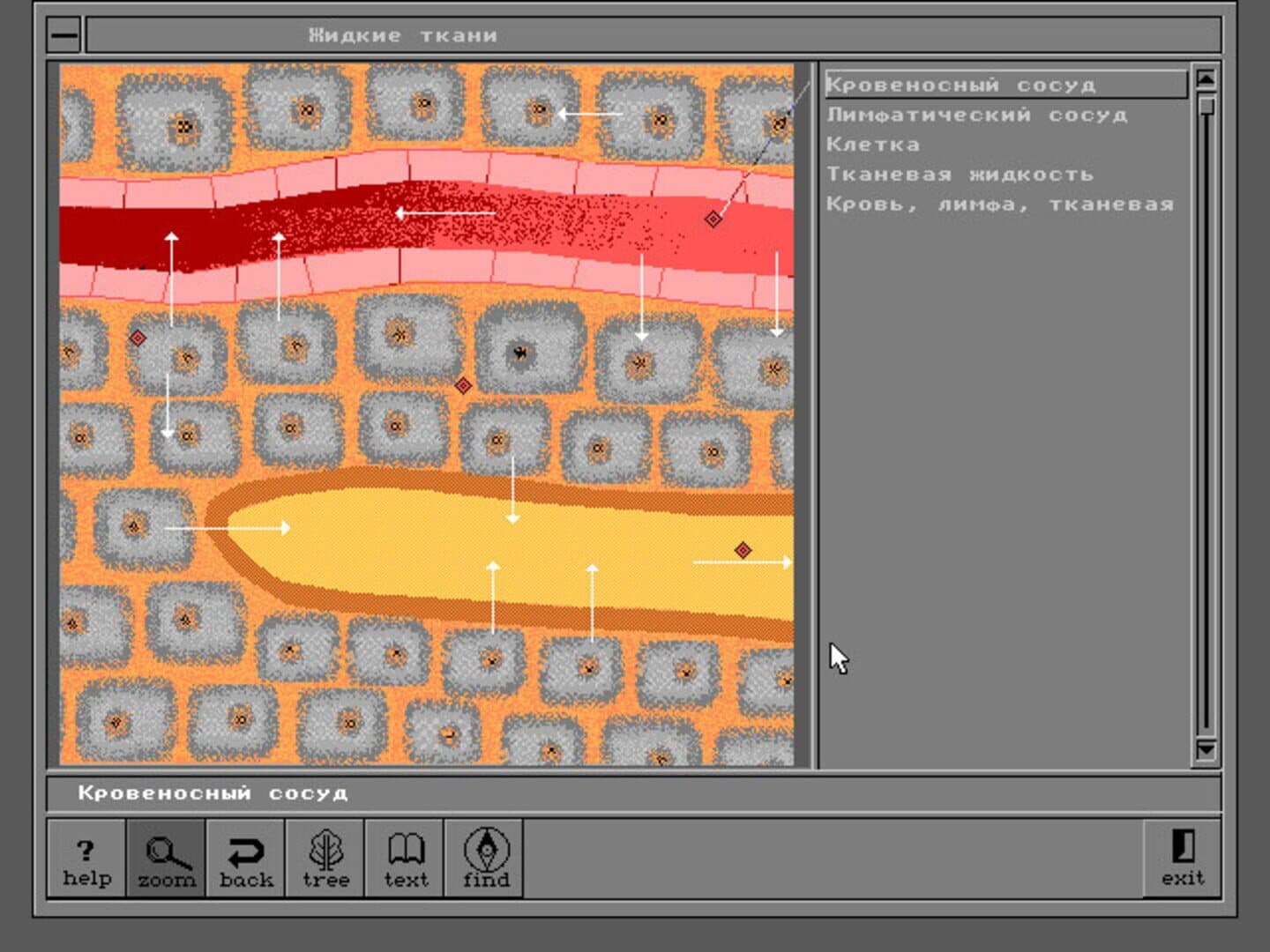 Body Quest screenshot 3