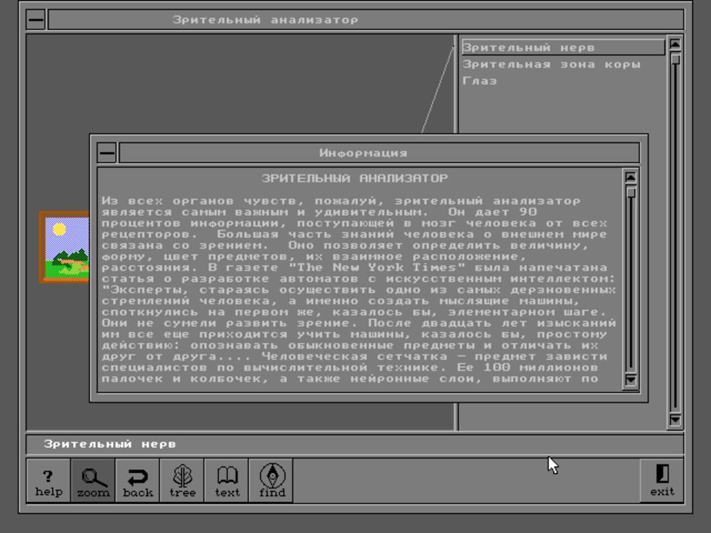 Body Quest screenshot 7