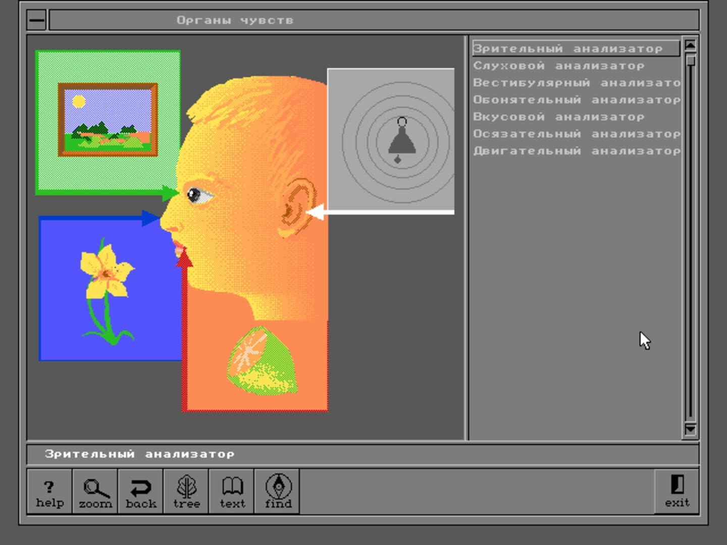 Body Quest screenshot 9