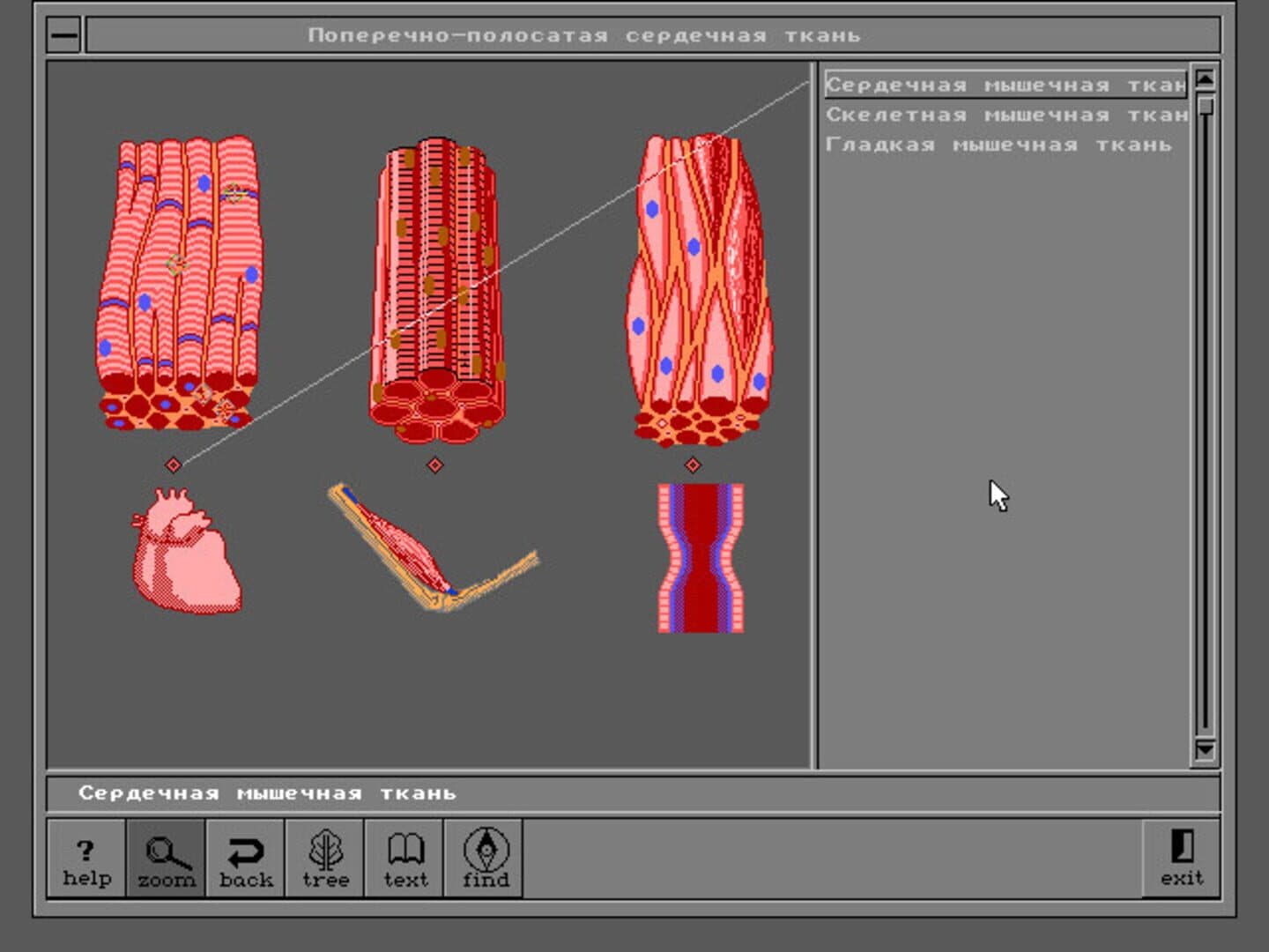 Body Quest screenshot 15
