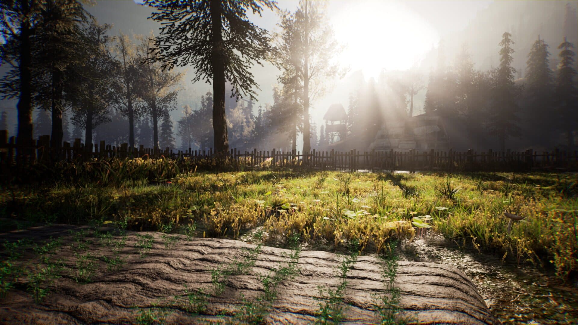 Medieval Frontiers screenshot 18