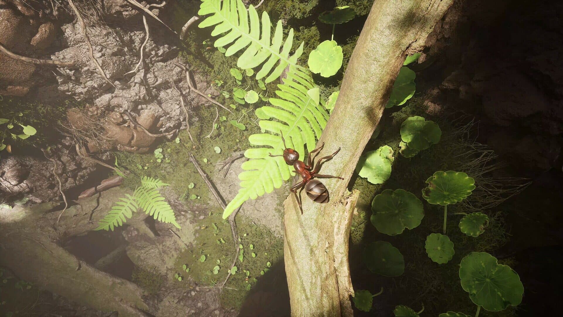 Empire of the Ants: Digital Deluxe Edition screenshot 7