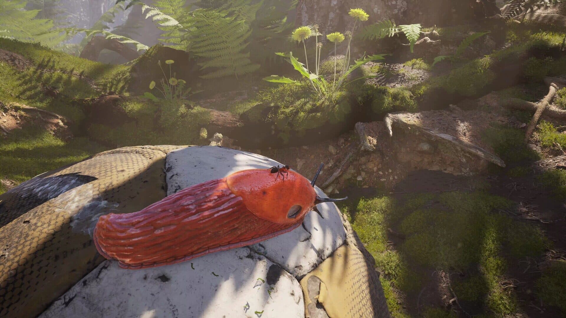 Empire of the Ants: Digital Deluxe Edition screenshot 3