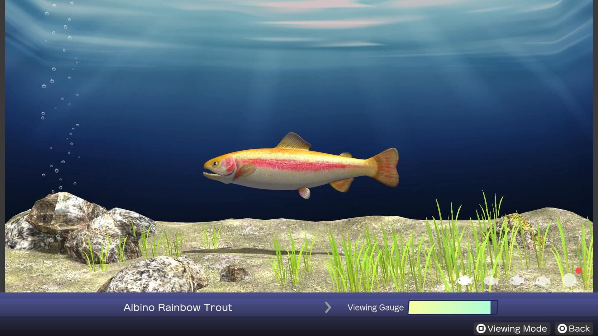 Reel Fishing: Days of Summer screenshot 5