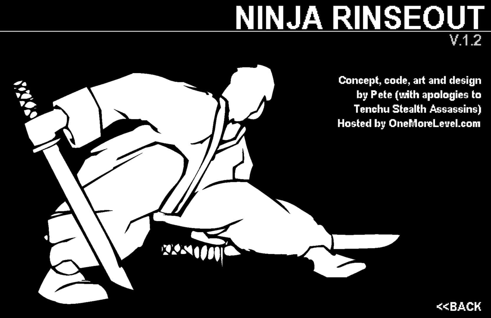 Ninja Rinseout screenshot 2