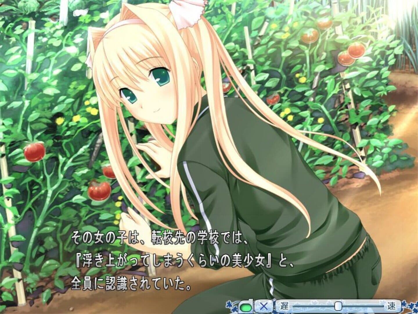 Kono Aozora ni Yakusoku wo screenshot 2