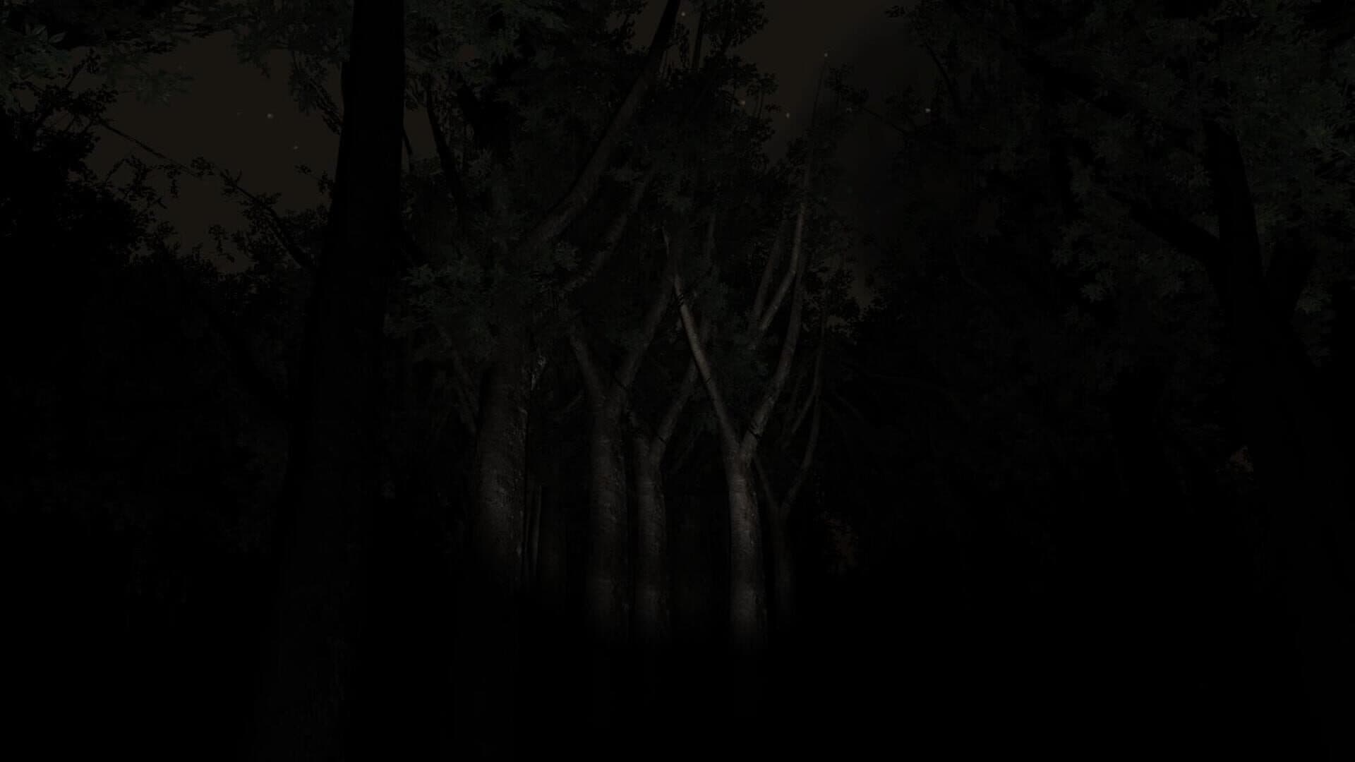 Slender: The Eight Pages screenshot 7