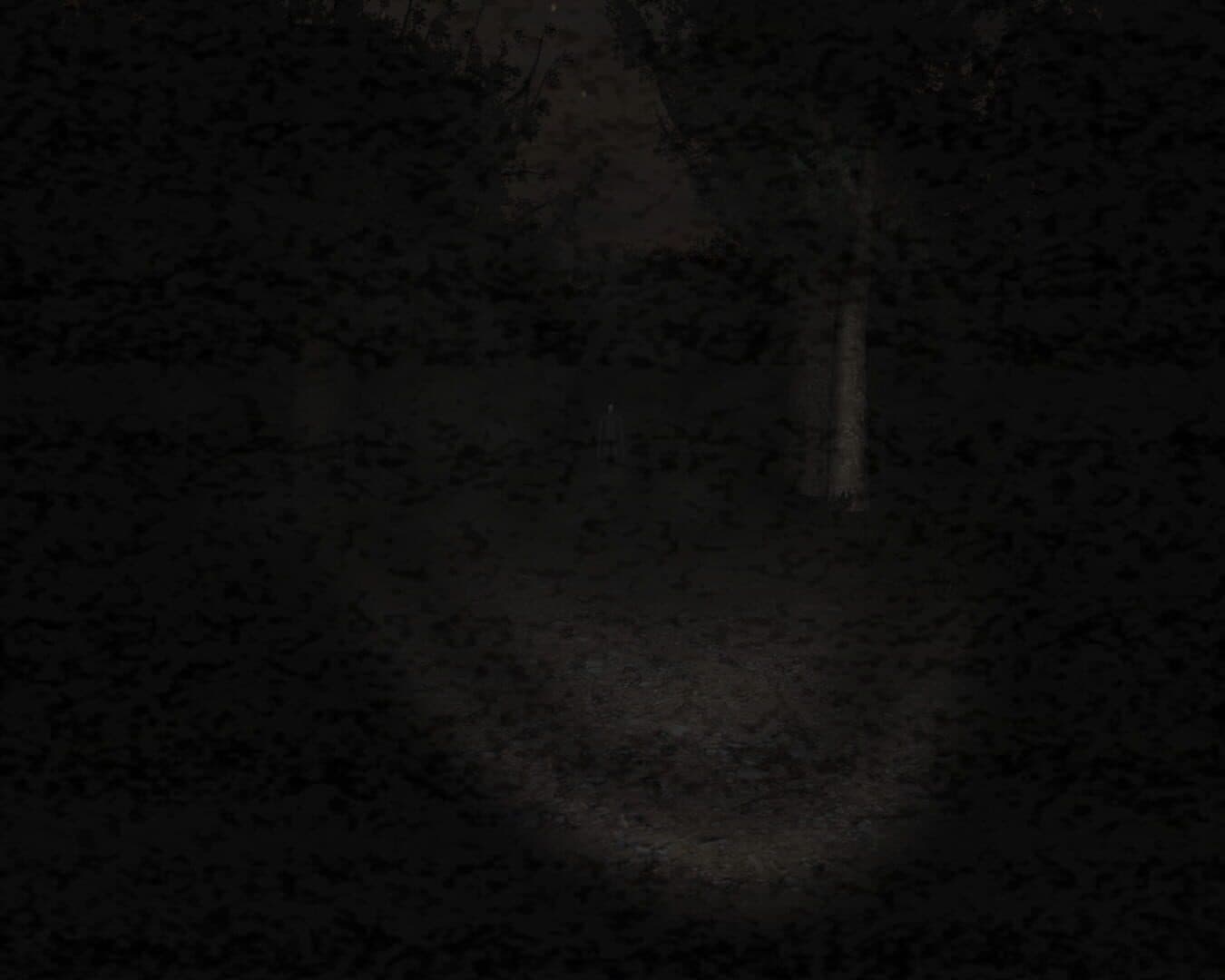 Slender: The Eight Pages screenshot 16