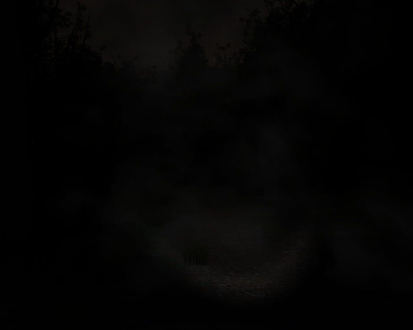 Slender: The Eight Pages screenshot 18
