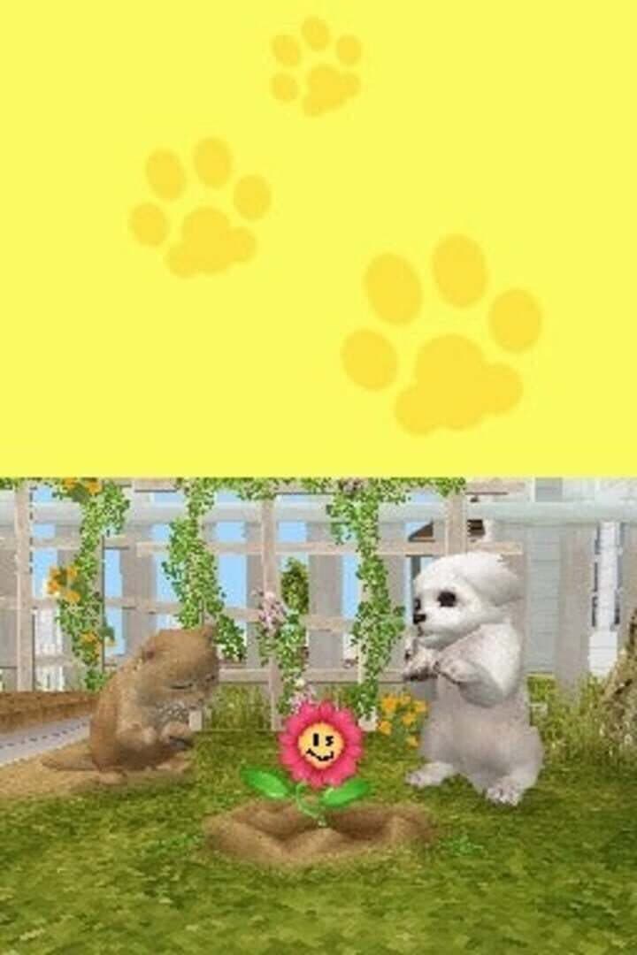 Petz Puppyz and Kittenz screenshot 3