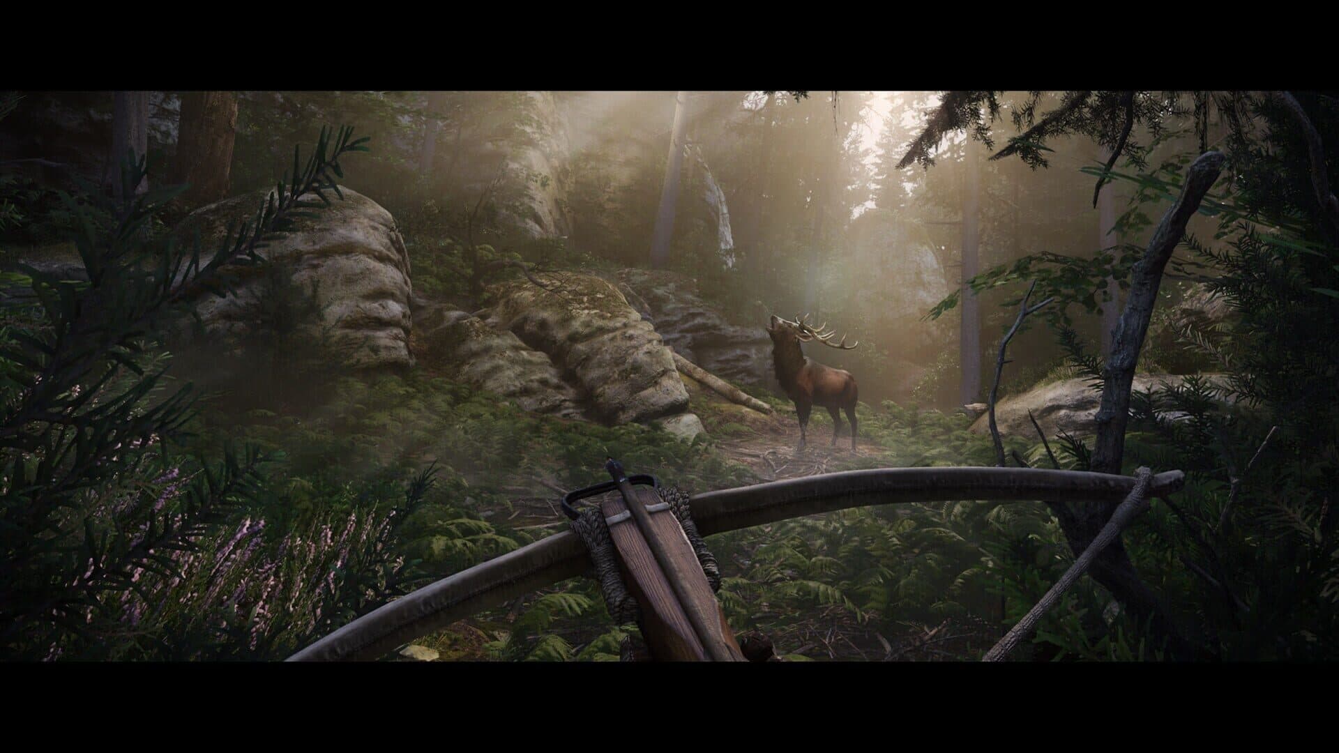 Kingdom Come: Deliverance II - Gold Edition screenshot 12