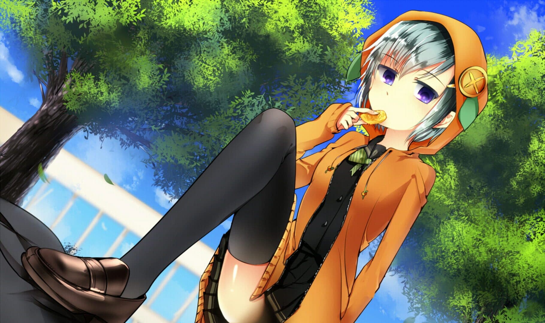 Kekkon Shugi Kokka screenshot 2
