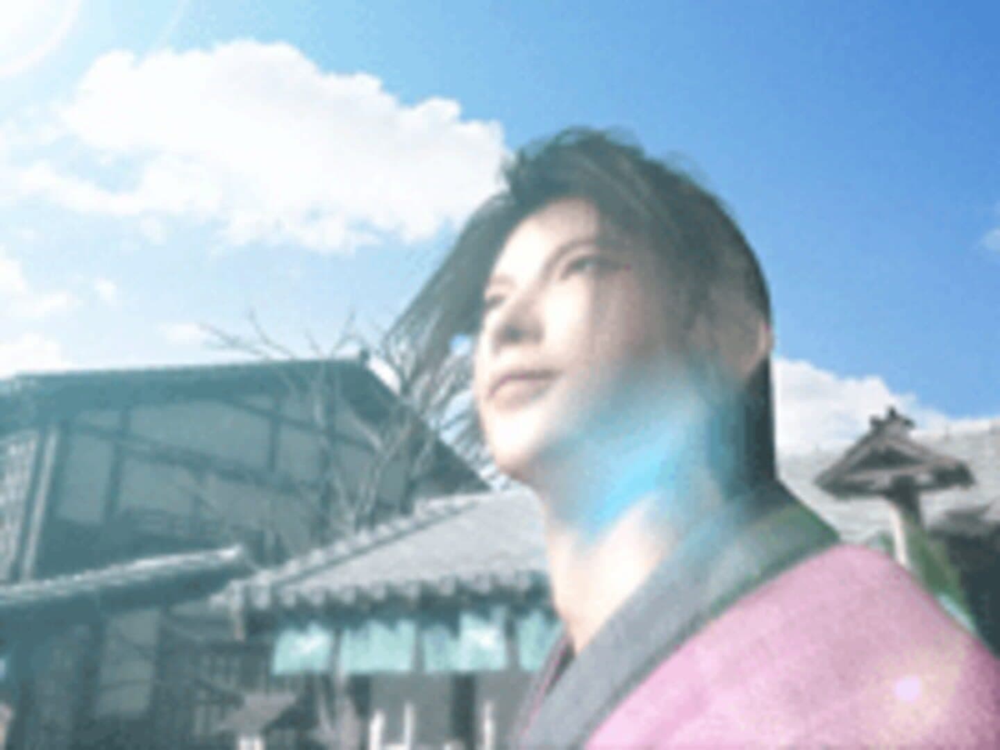 Hissatsu Ura-Kagyou screenshot 11