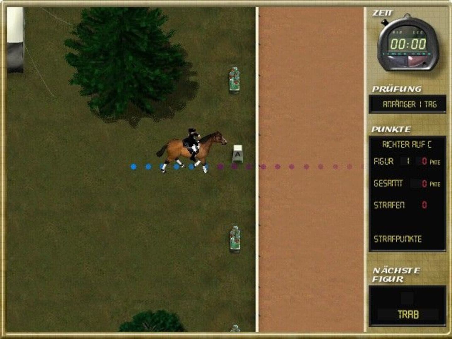 Mary King's Riding Star screenshot 1