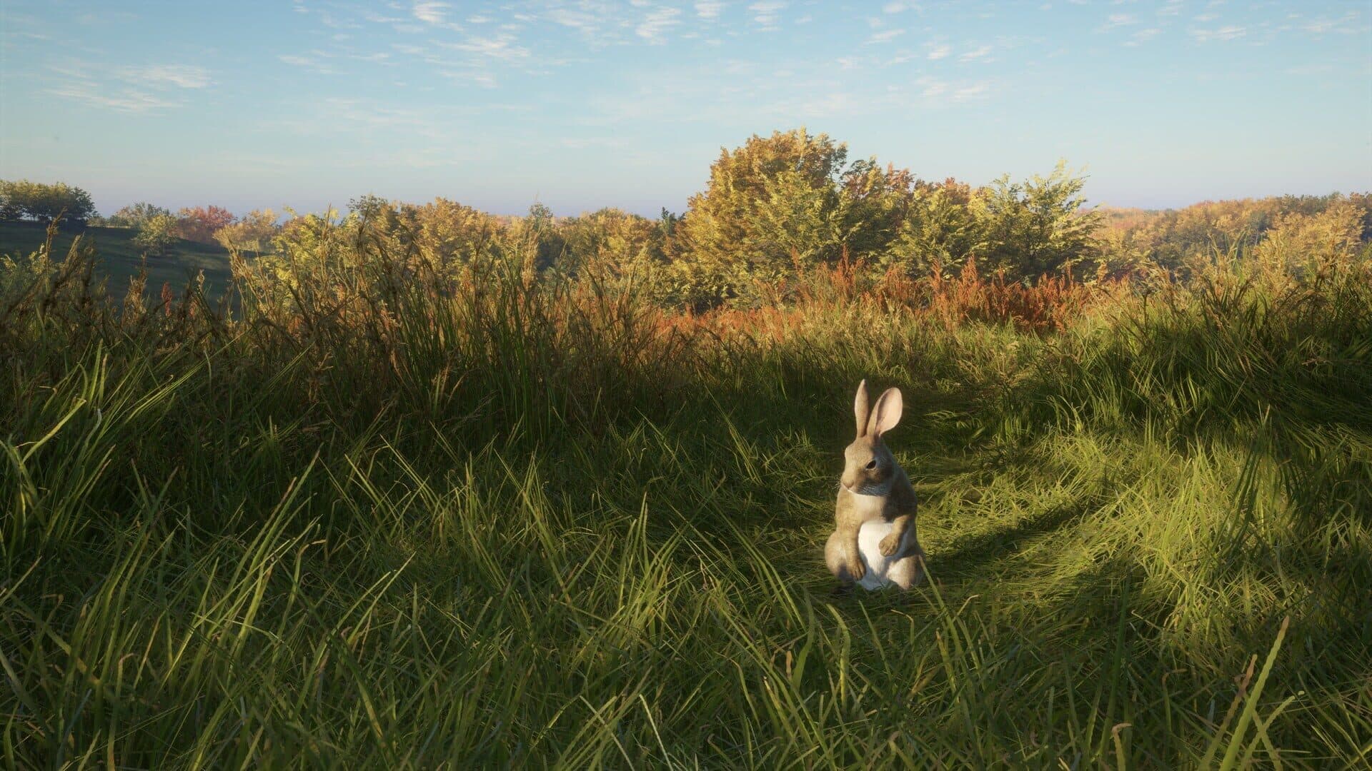 TheHunter: Call of the Wild - Salzwiesen Park screenshot 10