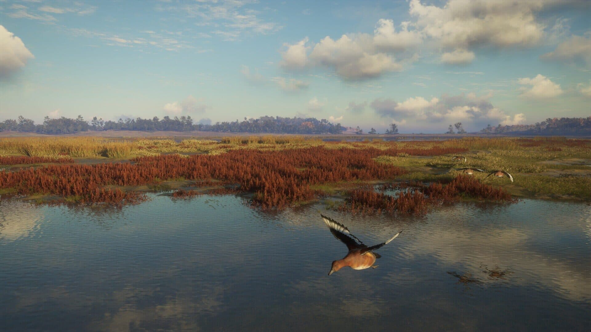 TheHunter: Call of the Wild - Salzwiesen Park screenshot 7