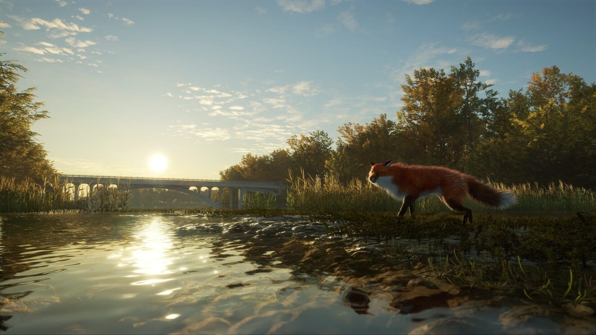 TheHunter: Call of the Wild - Salzwiesen Park screenshot 8