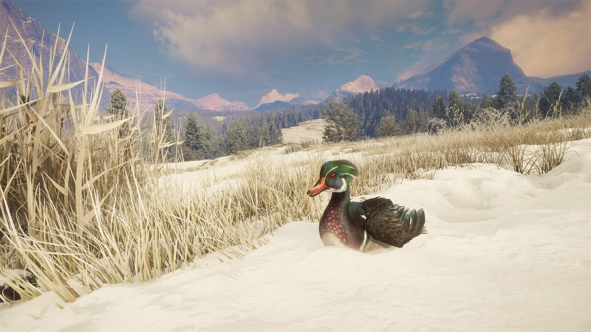 TheHunter: Call of the Wild - Alberta Hunting Preserve screenshot 7