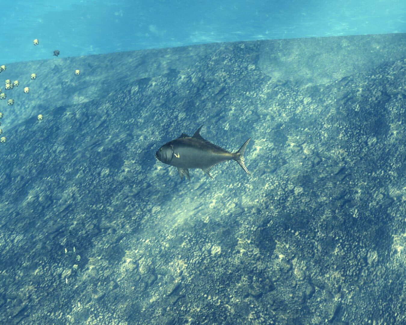 Depth Hunter screenshot 1