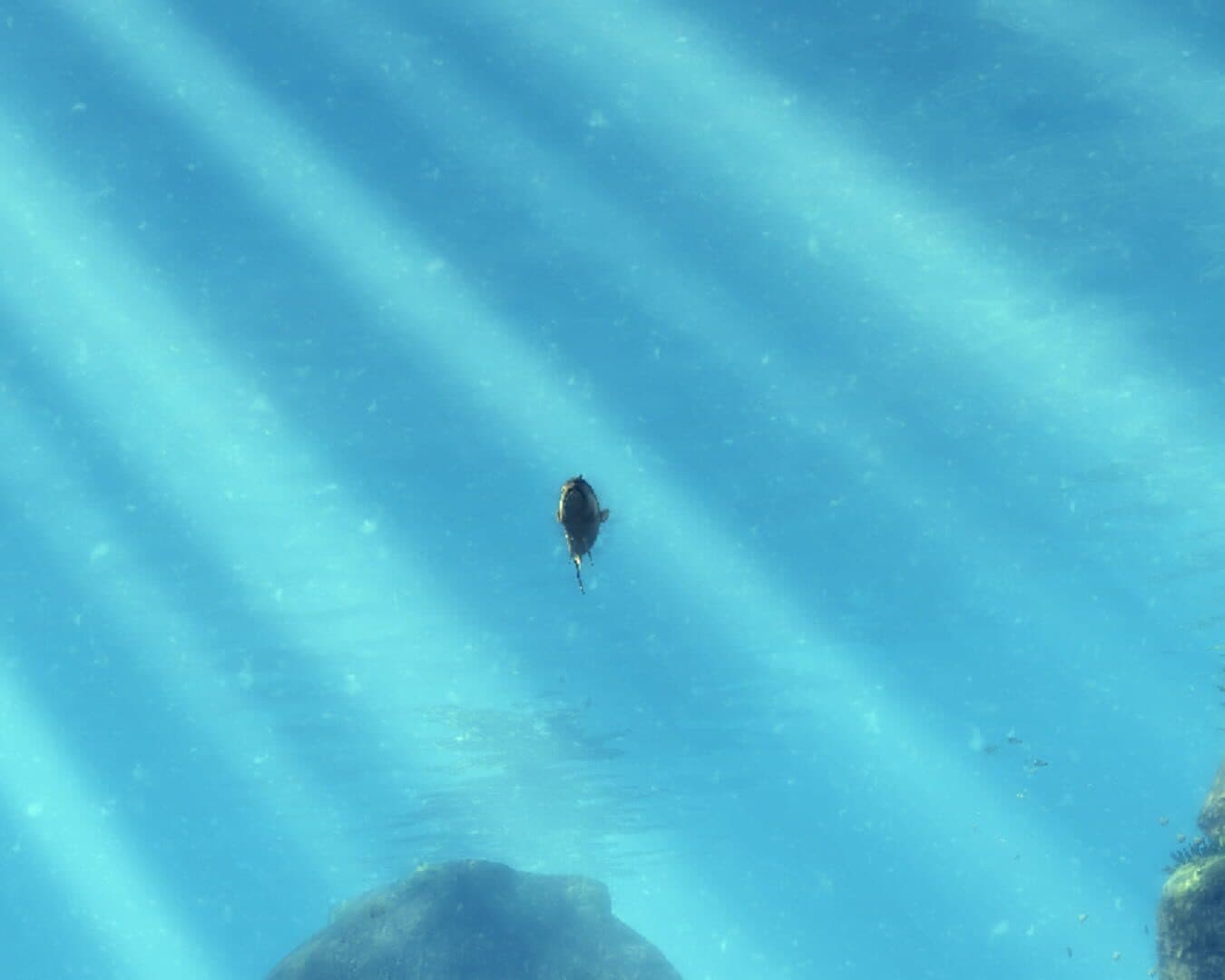 Depth Hunter screenshot 3