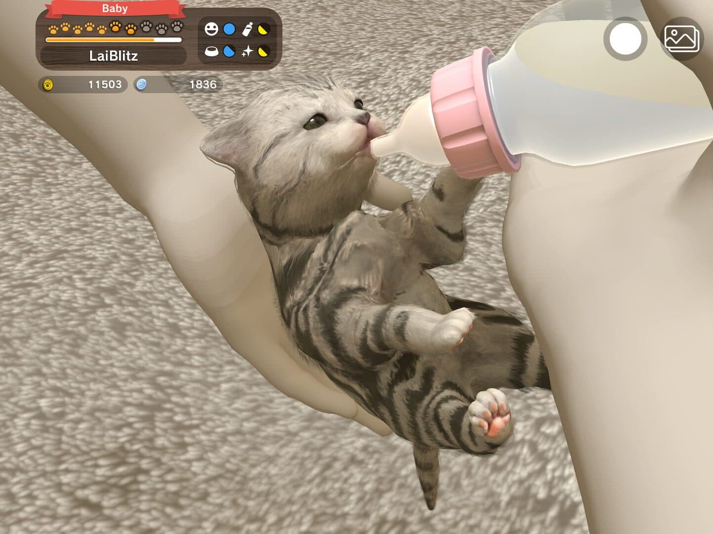 With My Buddy screenshot 4