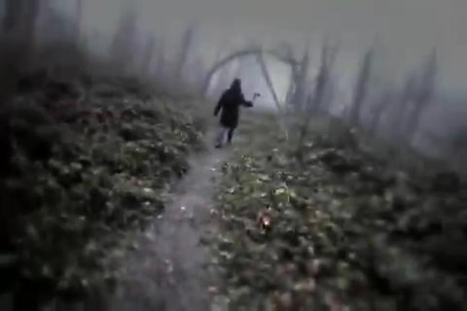 Hysteria Project screenshot 2