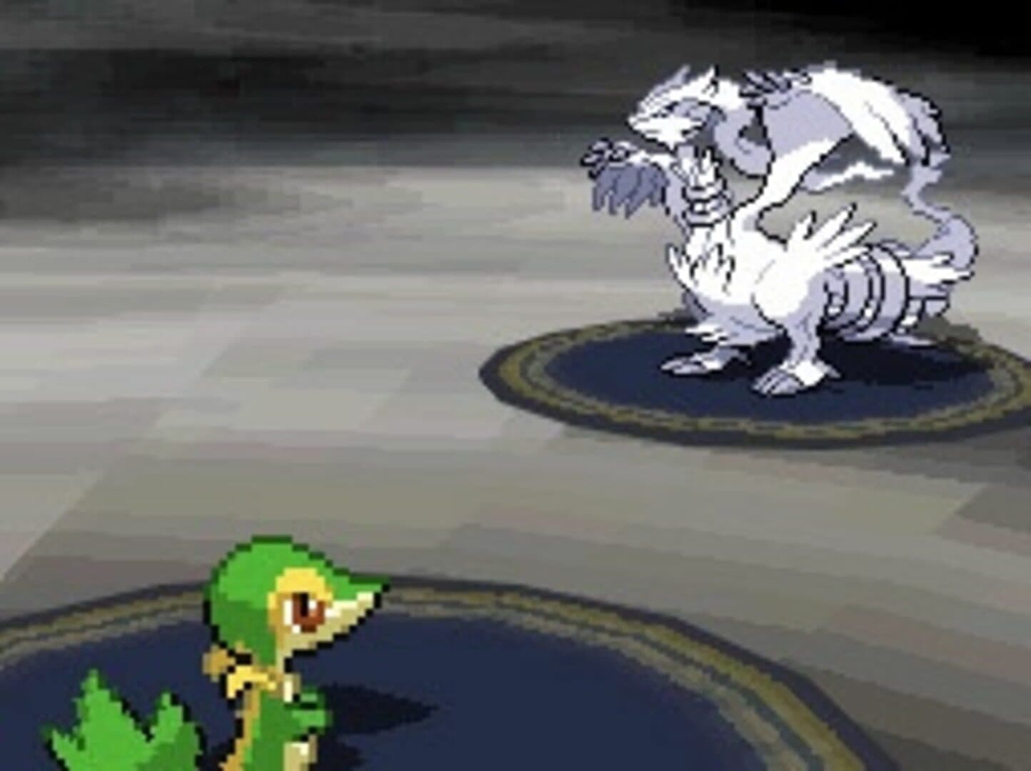 Pokémon Black Version screenshot 13